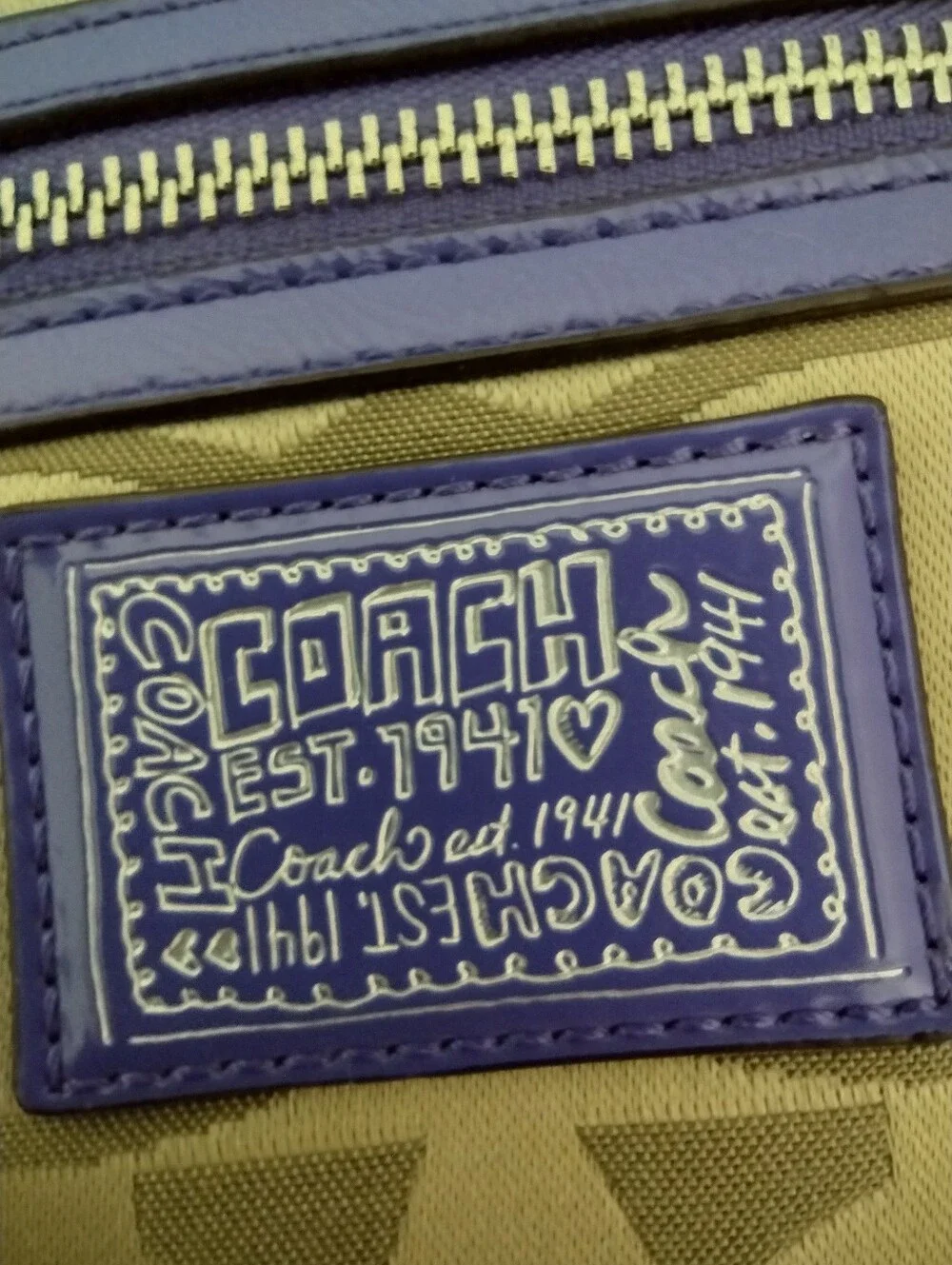 Coach ultimate y2k